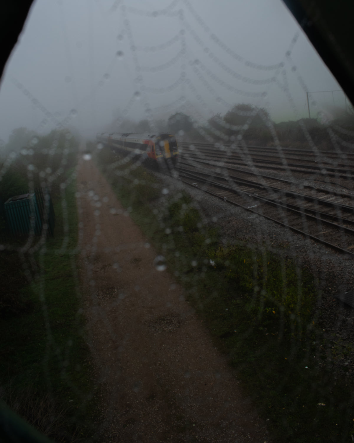 Cobwebs in the winter - Print #1