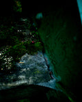 Cobwebs in the winter - Print #2